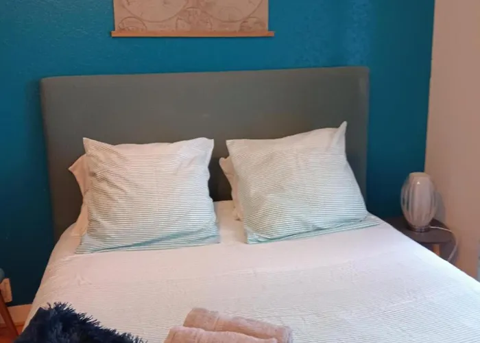 Appartement Le Petit A - Hyper Centre